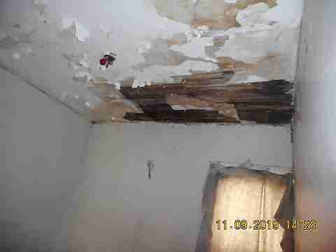 9393 Mendota 2nd group (9)_m.jpg